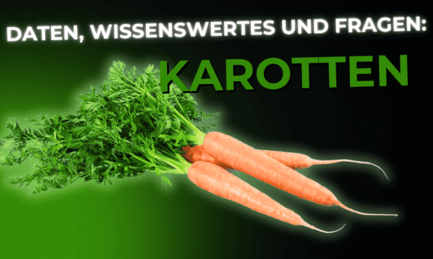 Lebensmittel-Wissen: Karotten / Möhren