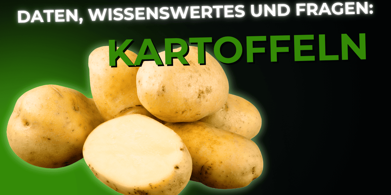 Lebensmittel-Wissen: die Kartoffel