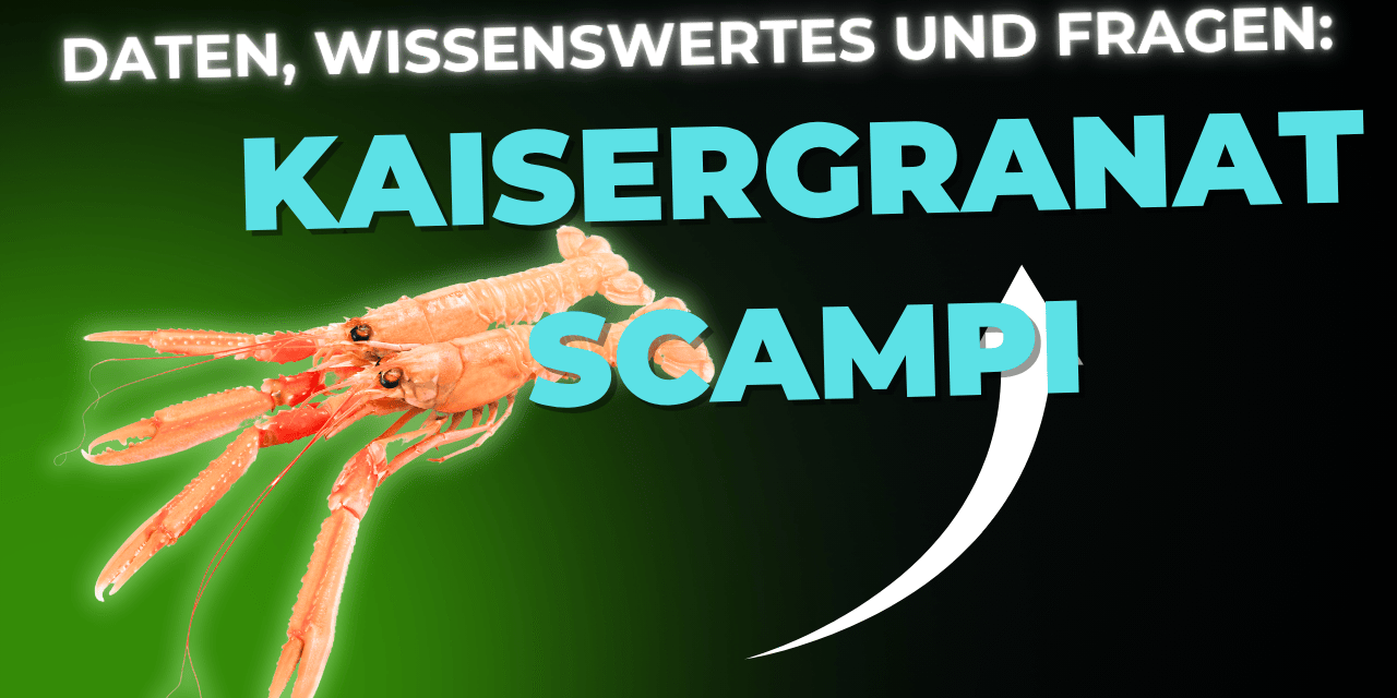 Lebensmittel-Wissen: Kaisergranat – Scampi