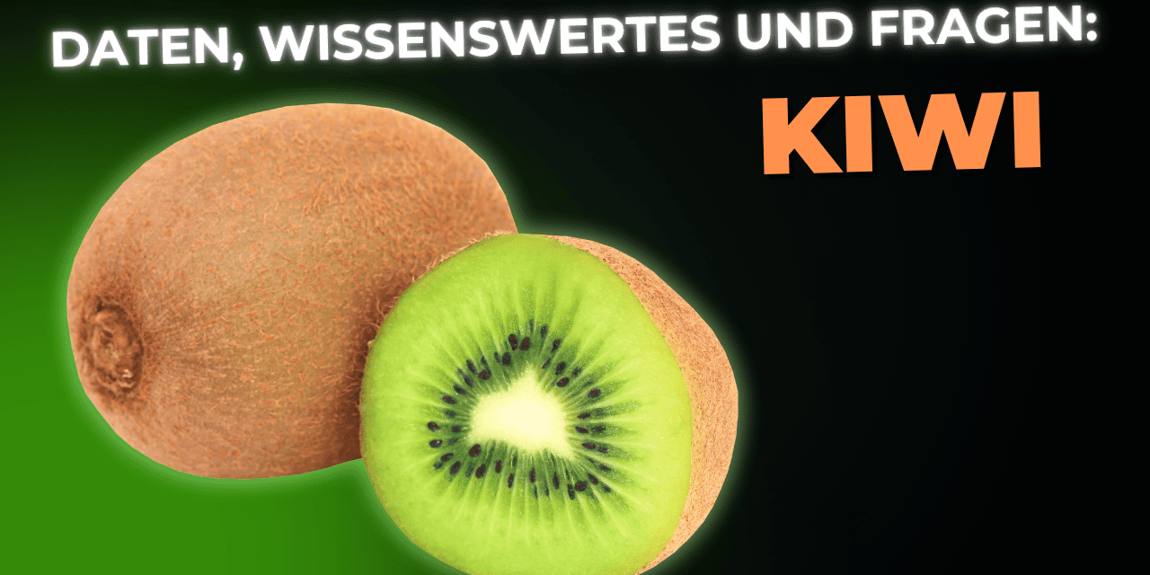 Lebensmittel-Wissen: die Kiwi