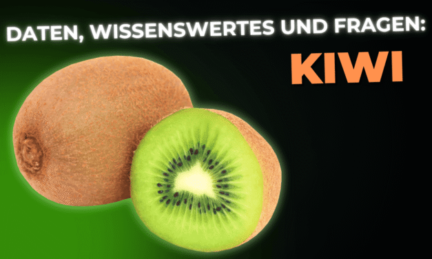 Lebensmittel-Wissen: die Kiwi