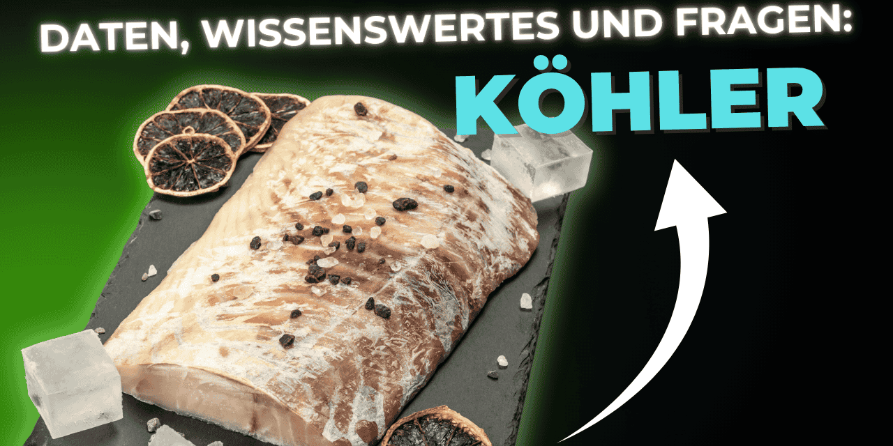 Lebensmittel-Wissen: der Köhler – Seelachs