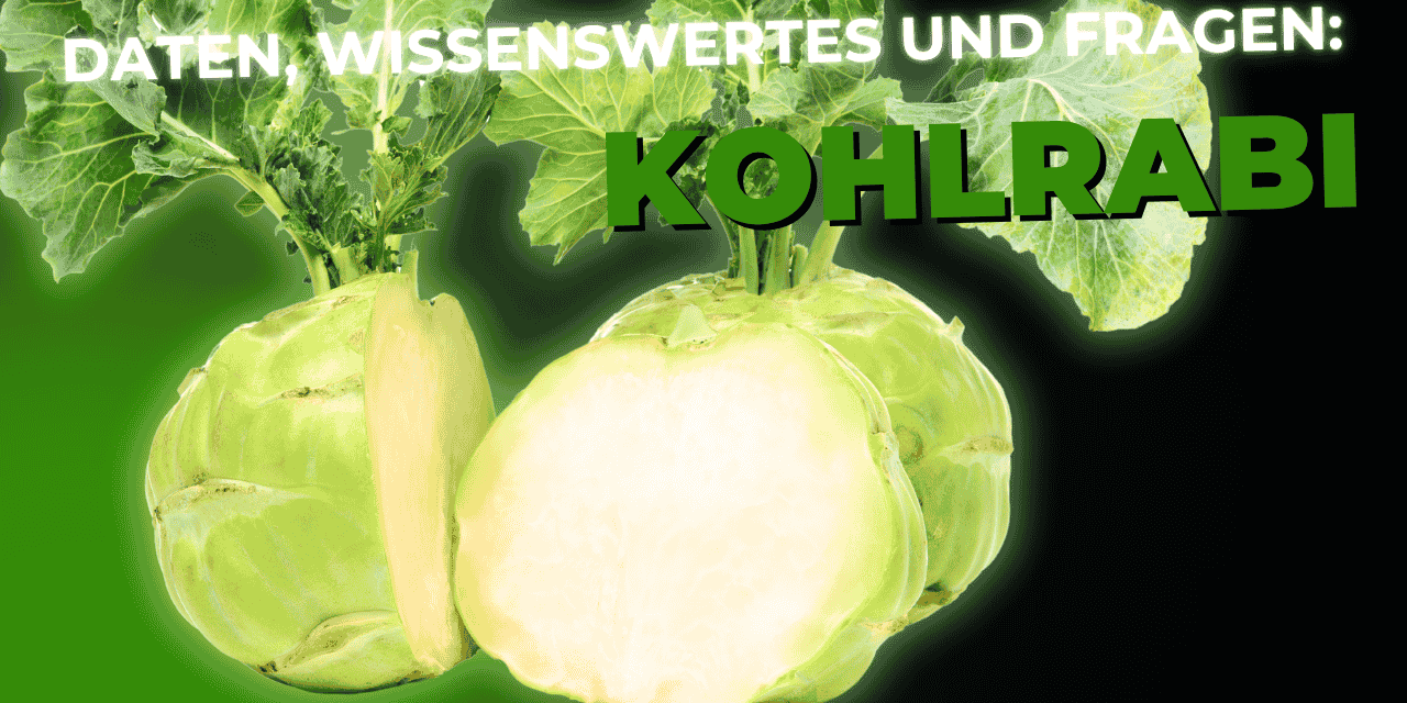 Lebensmittel-Wissen: Kohlrabi