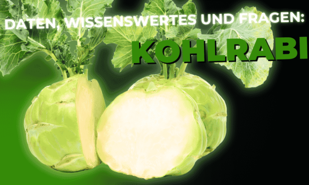 Lebensmittel-Wissen: Kohlrabi