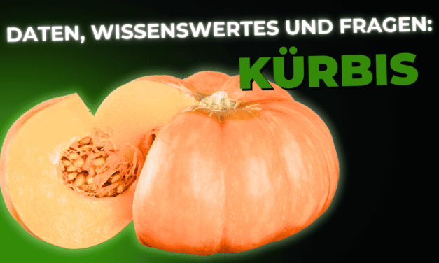 Lebensmittel-Wissen: der Kürbis