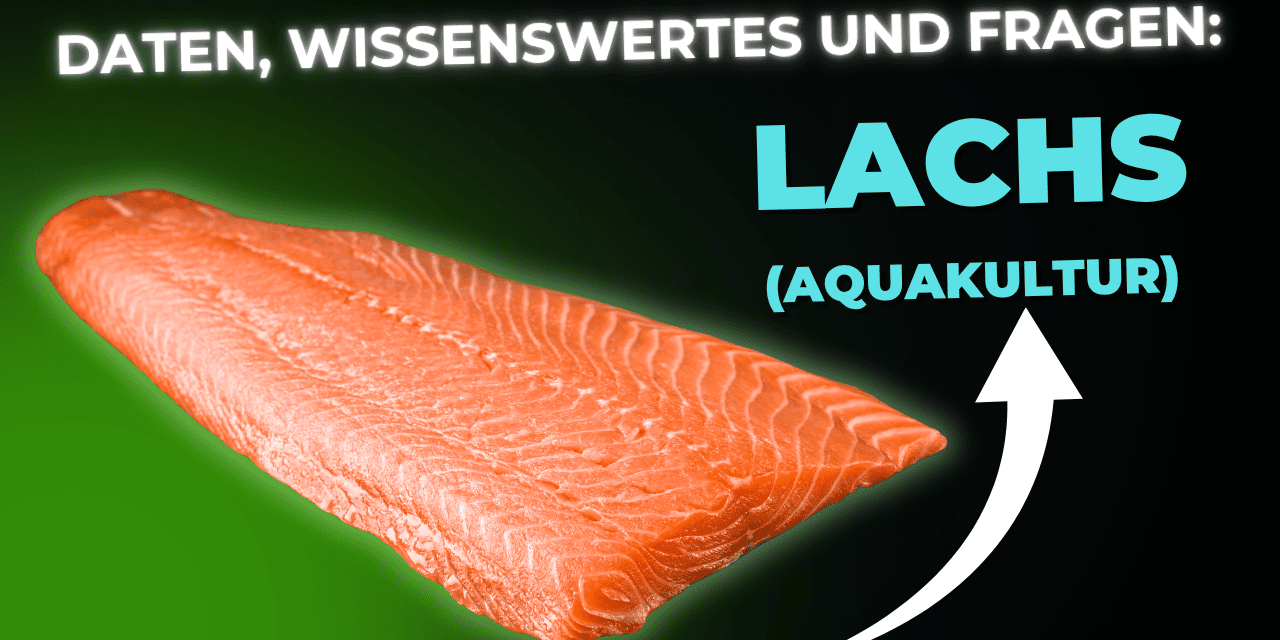 Lebensmittel-Wissen: Lachs – Aquakultur