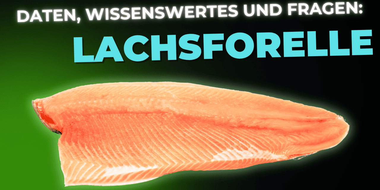 Lebensmittel-Wissen: Lachsforelle