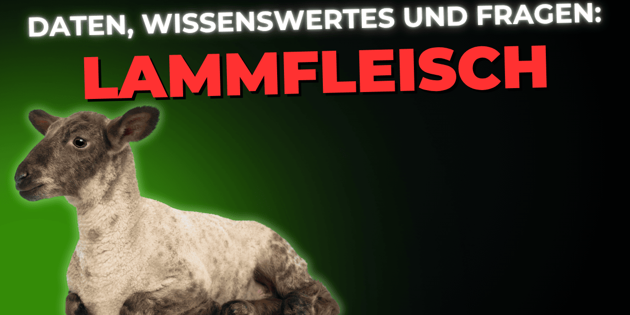 Lebensmittel-Wissen: Lammfleisch