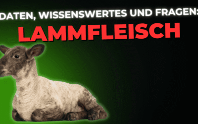 Lebensmittel-Wissen: Lammfleisch
