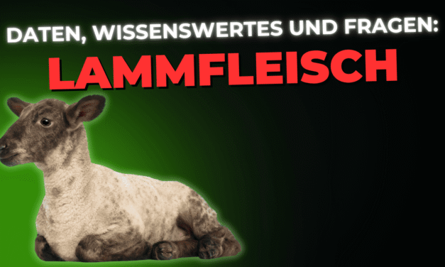 Lebensmittel-Wissen: Lammfleisch