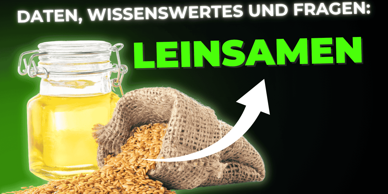 Lebensmittel-Wissen: Leinsamen