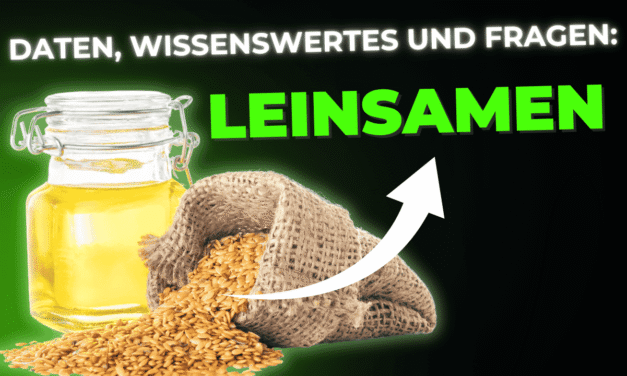 Lebensmittel-Wissen: Leinsamen