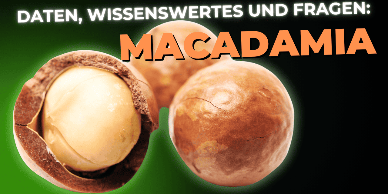 Lebensmittel-Wissen: Macadamia