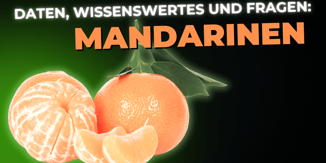 Lebensmittel-Wissen: die Mandarine