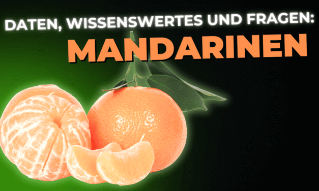 Lebensmittel-Wissen: die Mandarine
