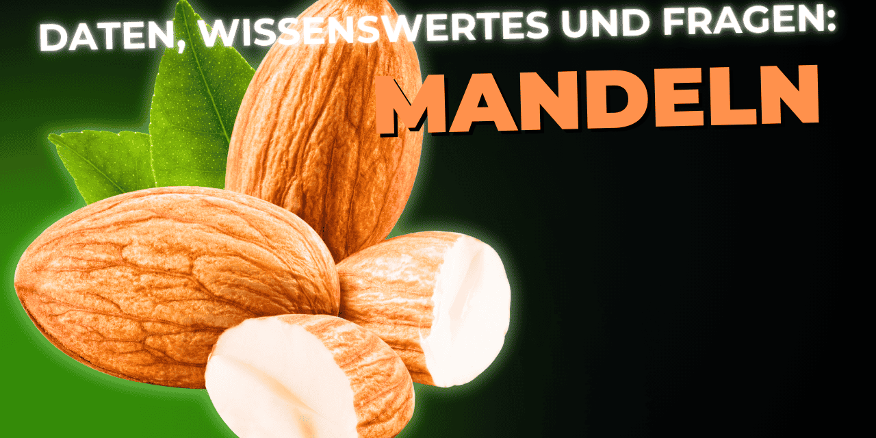 Lebensmittel-Wissen: Mandeln