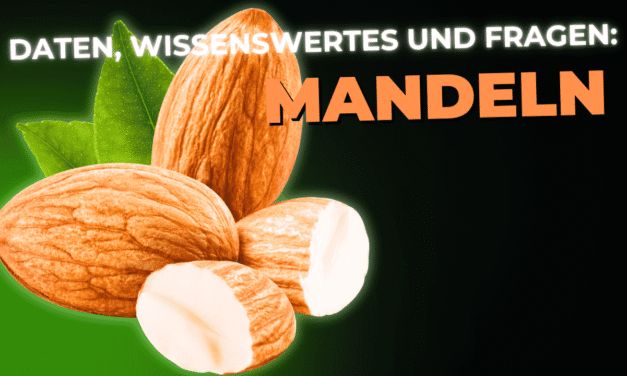 Lebensmittel-Wissen: Mandeln