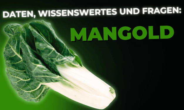 Lebensmittel-Wissen: Mangold