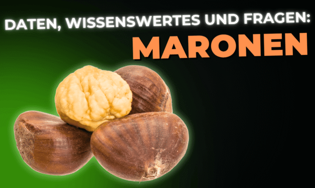 Lebensmittel-Wissen: Maronen