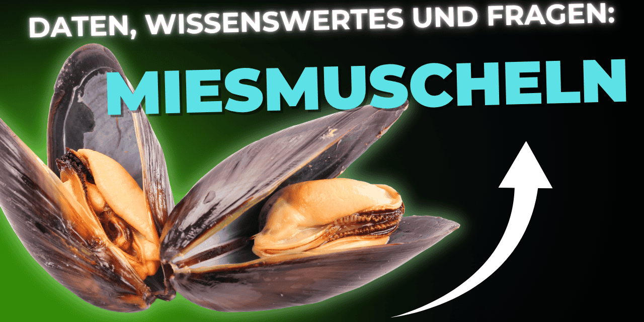 Lebensmittel-Wissen: Miesmuscheln