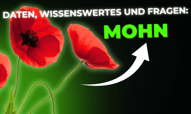 Lebensmittel-Wissen: Mohn