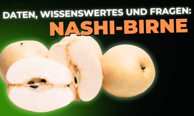 Lebensmittel-Wissen: die Nashi-Birne