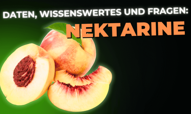 Lebensmittel-Wissen: Nektarinen