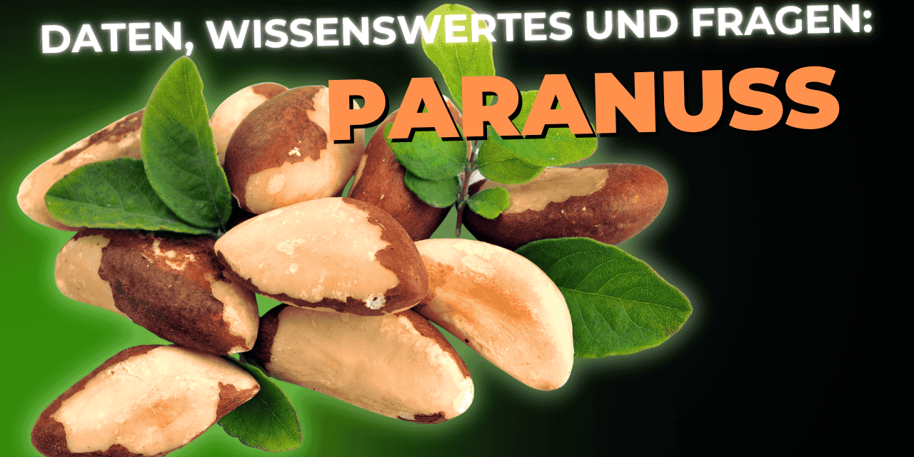Lebensmittel-Wissen: Paranuss