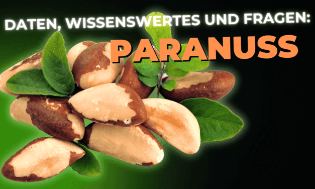 Lebensmittel-Wissen: Paranuss