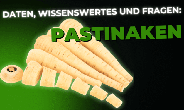 Lebensmittel-Wissen: Pastinaken