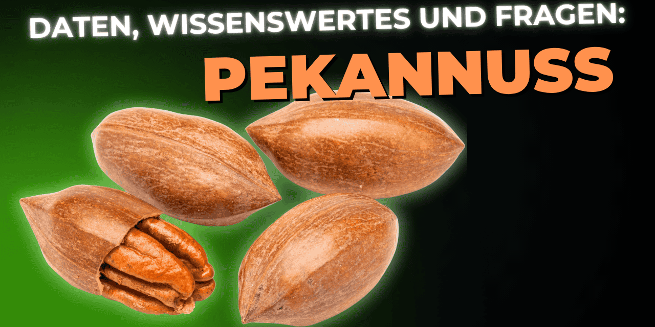 Lebensmittel-Wissen: Pekannuss