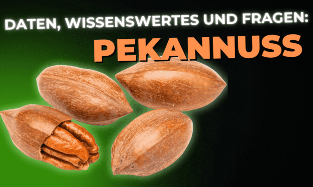 Lebensmittel-Wissen: Pekannuss