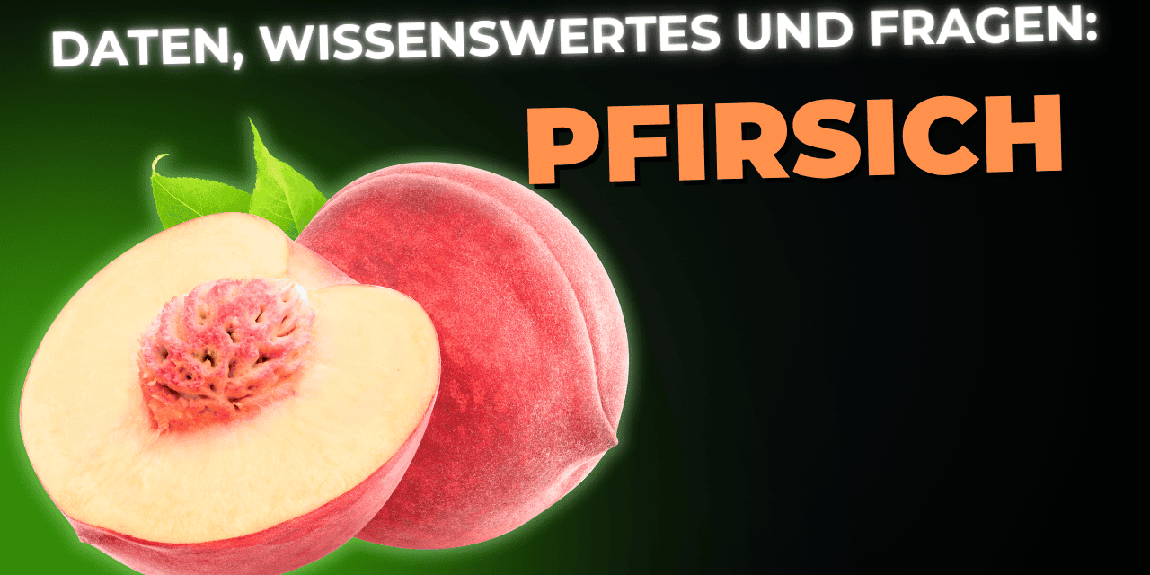 Lebensmittel-Wissen: der Pfirsich