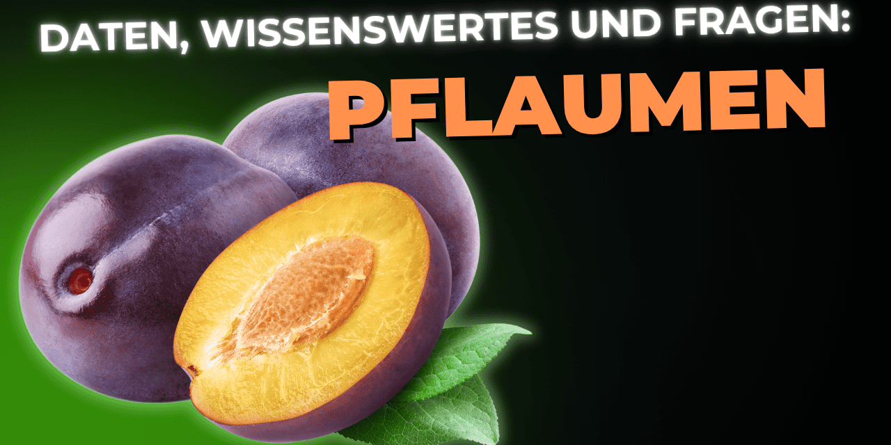 LEbensmittel-Wissen: die Pflaume
