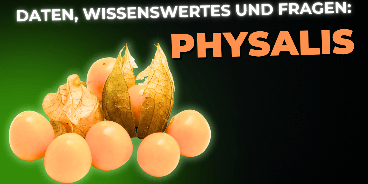 Lebensmittel-Wissen: Physalis