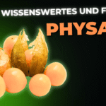 Lebensmittel-Wissen: Physalis