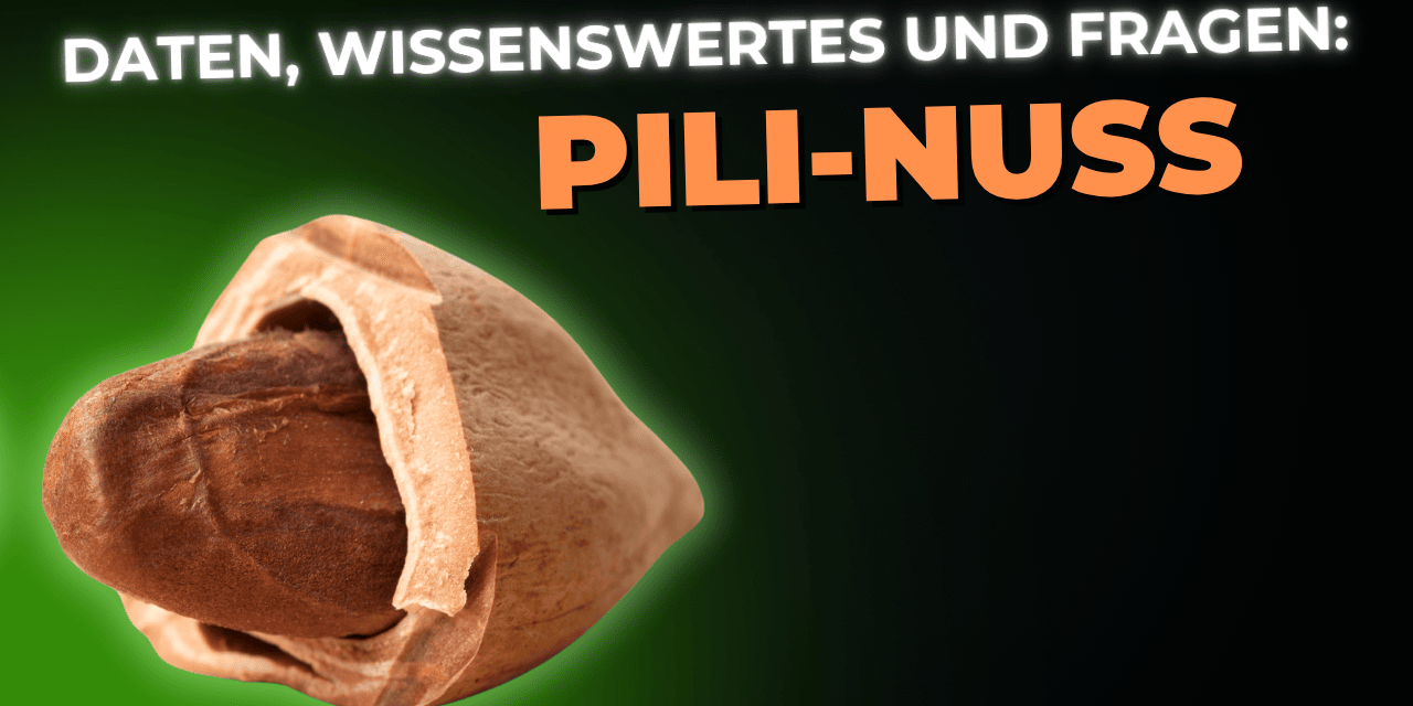 Lebensmittel-Wissen: Pili-Nuss