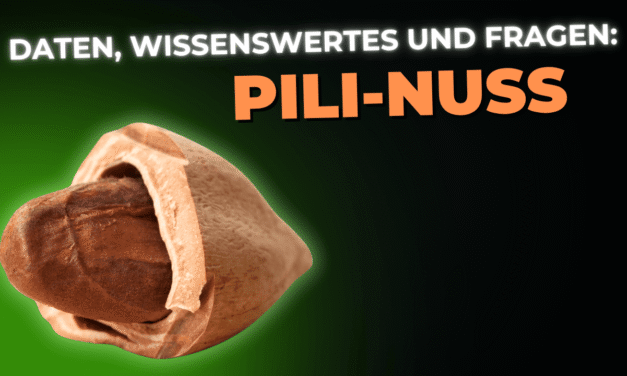 Lebensmittel-Wissen: Pili-Nuss