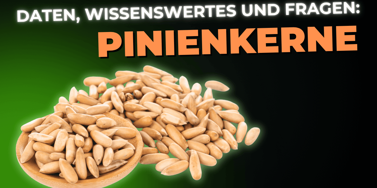 Lebensmittel-Wissen: Pinienkerne