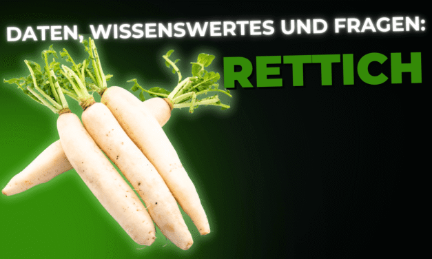 Lebensmittel-Wissen: der Rettich