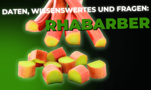 Lebensmittel-Wissen: Rhabarber