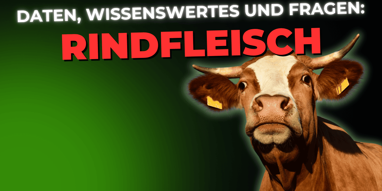 Lebensmittel-Wissen: Rindfleisch