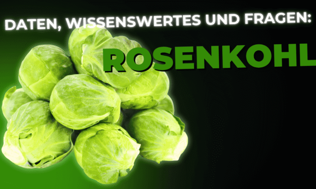 Lebensmittel-Wissen: Rosenkohl