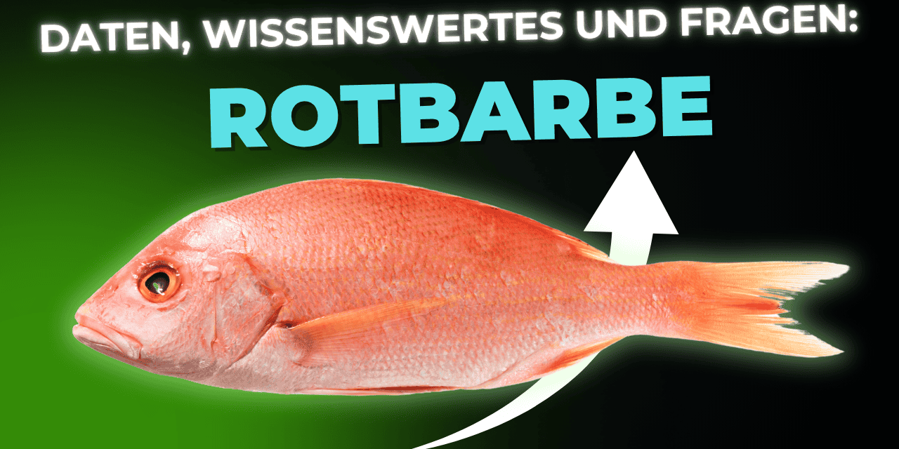 Lebensmittel-Wissen: Rotbarbe