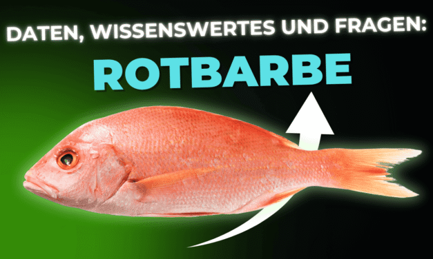 Lebensmittel-Wissen: Rotbarbe