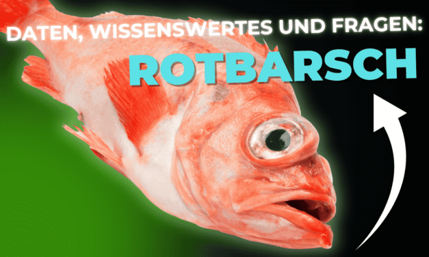 Lebensmittel-Wissen: der Rotbarsch