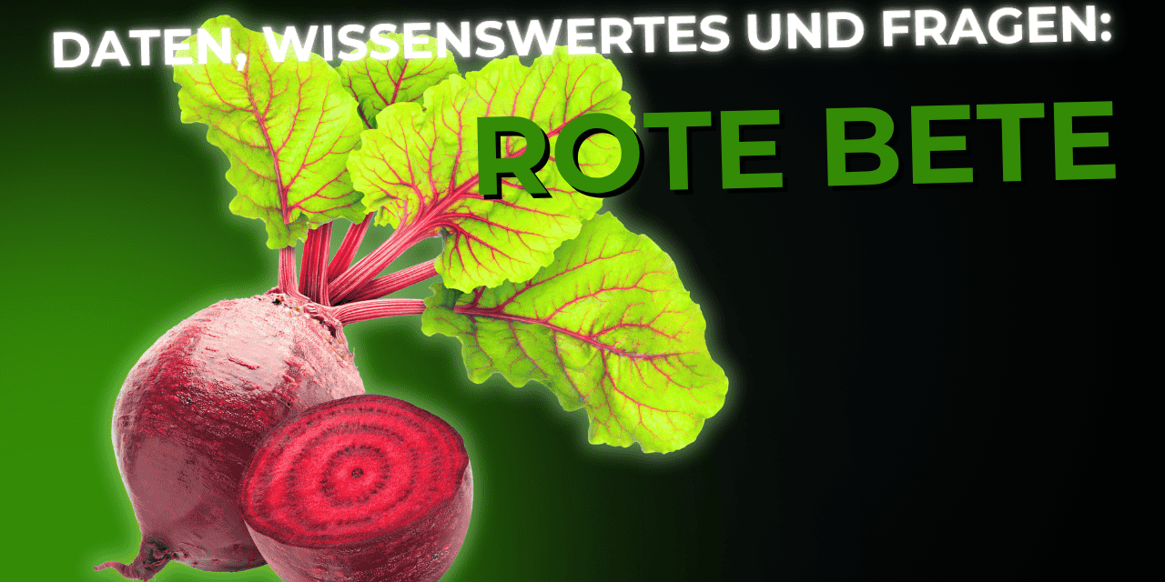 Lebensmittel-Wissen: Rote Bete