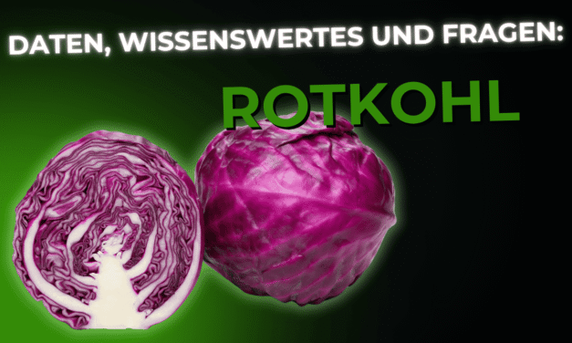 Lebensmittel-Wissen: der Rotkohl