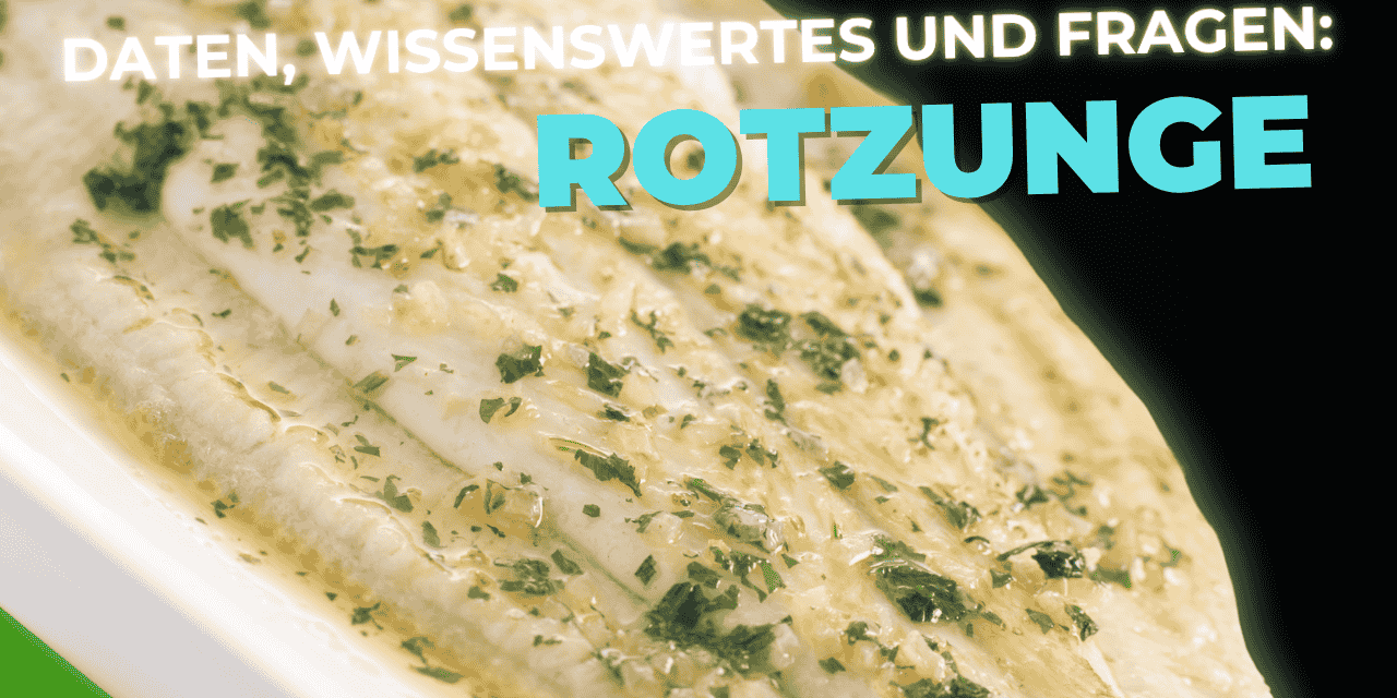 Lebensmittel-Wissen: die Rotzunge