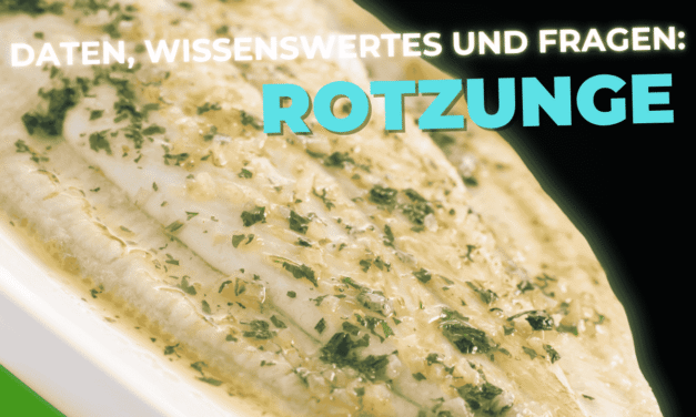 Lebensmittel-Wissen: die Rotzunge